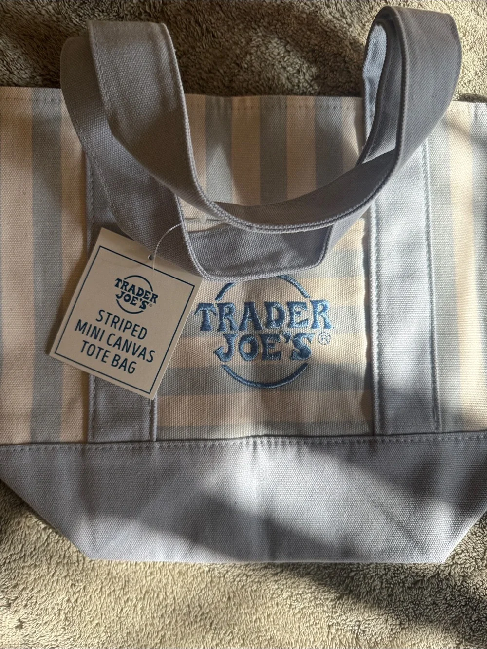 TJ’s Blue & Cream Striped Tote Bag